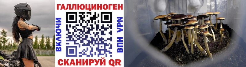Псилоцибиновые грибы мухоморы Пятигорск