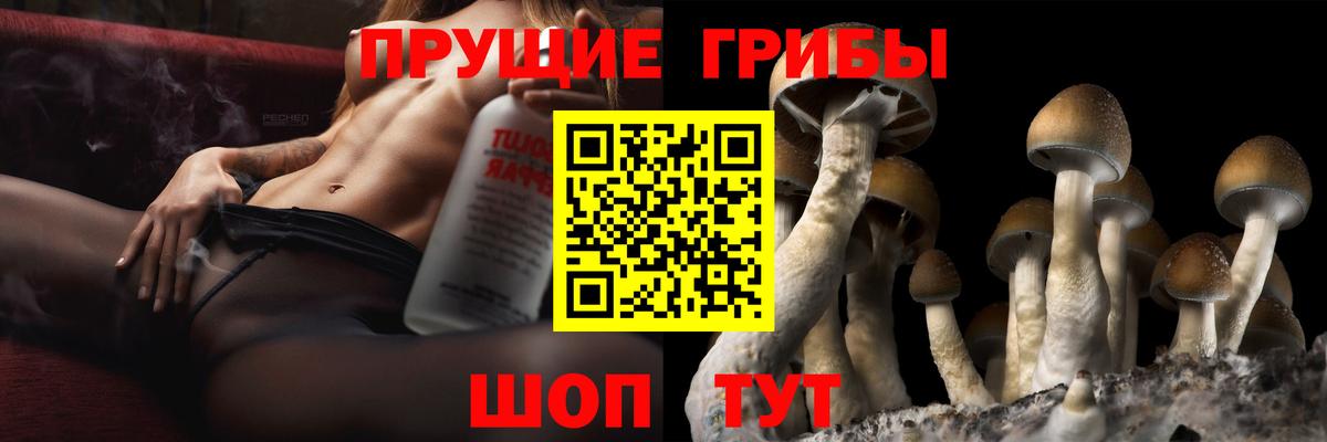 Галлюциногенные грибы Magic Shrooms Пятигорск